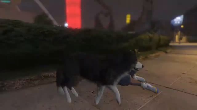 GTA V: Sheepdog Adventures смотреть онлайн