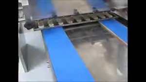 Однобункерная тестоотсадочная машина для производства печенья курабье