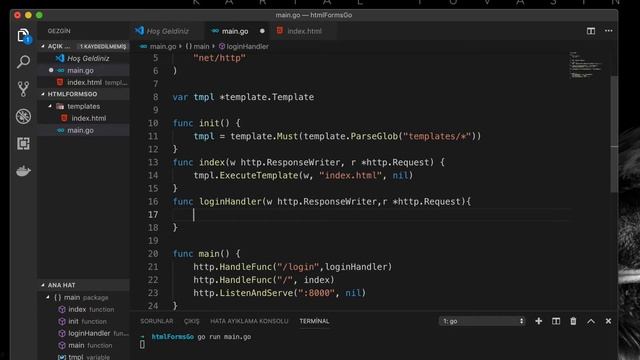 9. Go HTML Form ile Veri Alışverişi golang смотреть онлайн