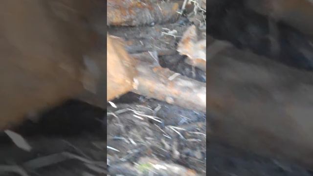 На копе металолома супер место вывезли очень много метала смотреть онлайн