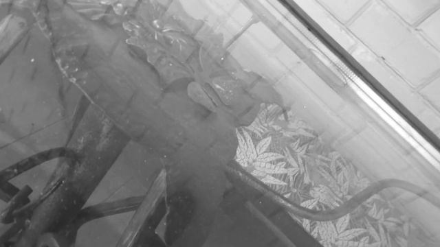 Кованая полка для обуви делаем сами. смотреть онлайн