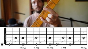 Как выучить ноты на грифе гитары