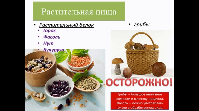 постное питание