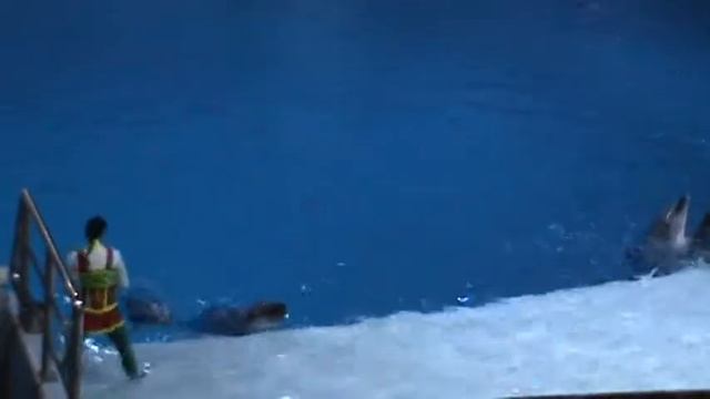 Москвариум лето 2018 смотреть онлайн