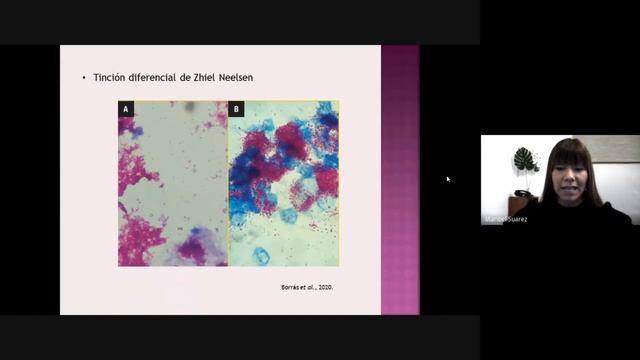 Suarez, Maribel Andrea - Defensas Virtuales de Tesinas y Tesis– FCV - UNCPBA смотреть онлайн