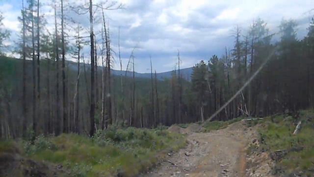Спуск с перевала (Тофолария) смотреть онлайн