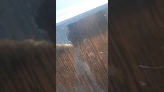 Ко мне в руки попал блокнот сумасшедшего автора который написал блокнот black-and-white смотреть онлайн