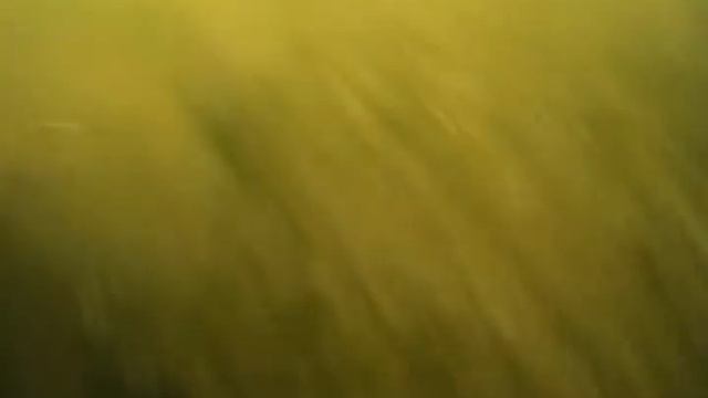 Случай в пруду - Мерлин смотреть онлайн