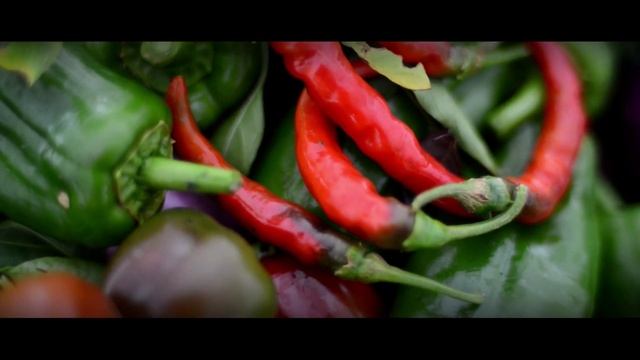 Selective Professional Natural Flowers