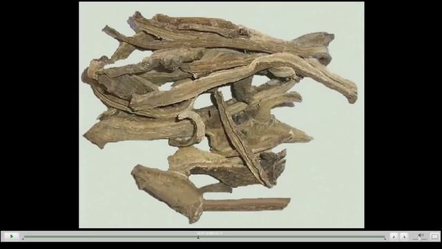 Девясил Лечебные свойства смотреть онлайн