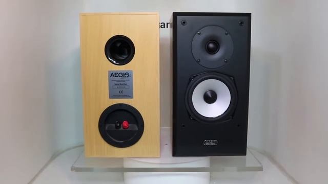 Acoustic Energy Aegis One