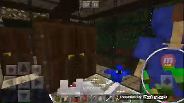 Как приручить кота и попугая в Minecraft. смотреть онлайн