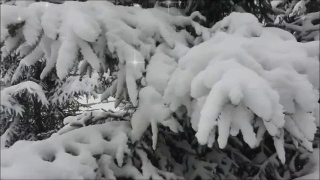 ВОЛШЕБНАЯ КРАСОТА ЗИМНЕГО ЛЕСА. ЗИМНИЙ ЛЕС КАК В СКАЗКЕ смотреть онлайн