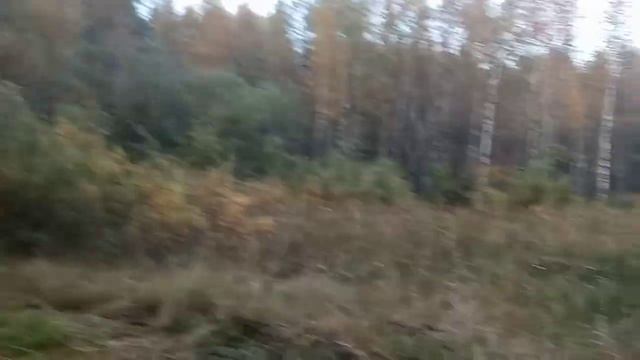 озеро Хвойка золотой осенью смотреть онлайн