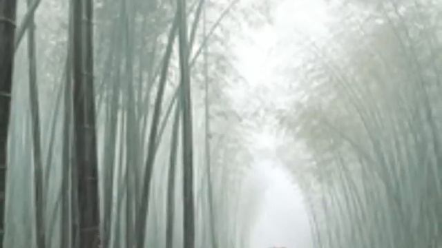 Красивая успокаивающая музыка смотреть онлайн