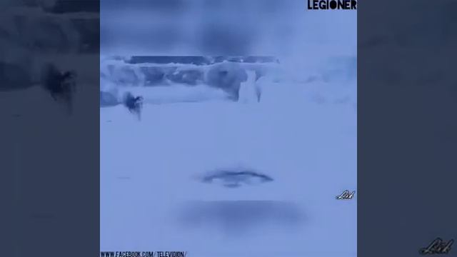 Жизнь.... Это рай смотреть онлайн