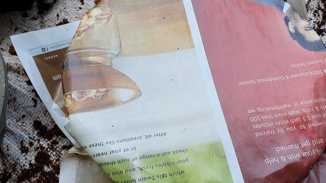 How To Germinate Tiny Seeds Like Portulaca And Petunia