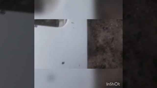 Покраска Ман ТГА часть 1