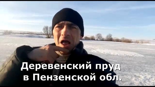 Мистер ЖЕРЛИЦА 6 12 марта смотреть онлайн