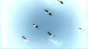 Иосиф Кобзон - Песня о далекой Родине