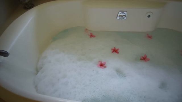 Путешествия по Миру Животных