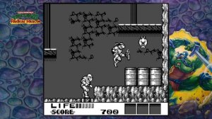 Смерть черепашки