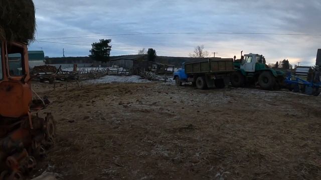 Моё содержание КРС.