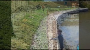 Укрепление берегов пруда своими руками