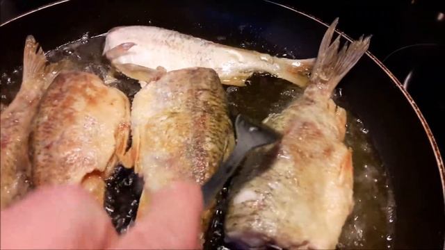 Зоологические Подсказки