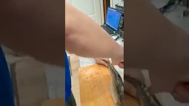 разделка судака смотреть онлайн