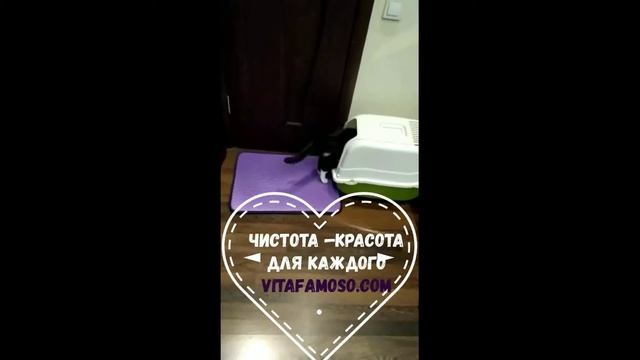 #коврикдлякошки //ЧИСТЫЕ ЛАПЫ, #двухслойныйковрик #matforcat ,#коврик ловушка //коврик цветной смотреть онлайн