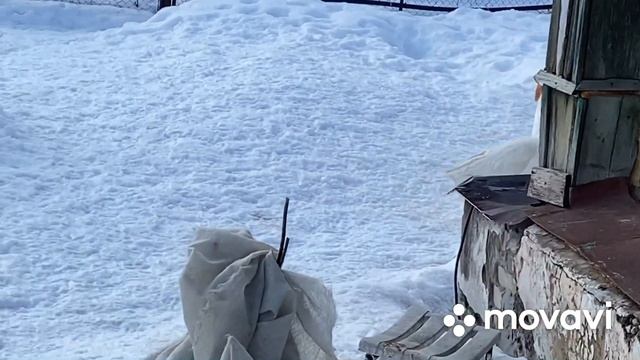 В хозяйстве все по плану/Яйцекладка гусей/Бройлер перед забоем/Обновка в птичнике смотреть онлайн