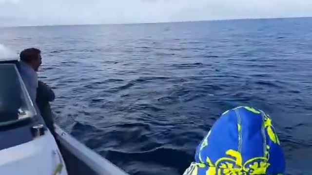 Камчатка смотреть онлайн