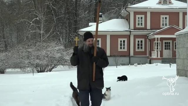 Оптина пустынь. Кошачий крестный ход смотреть онлайн
