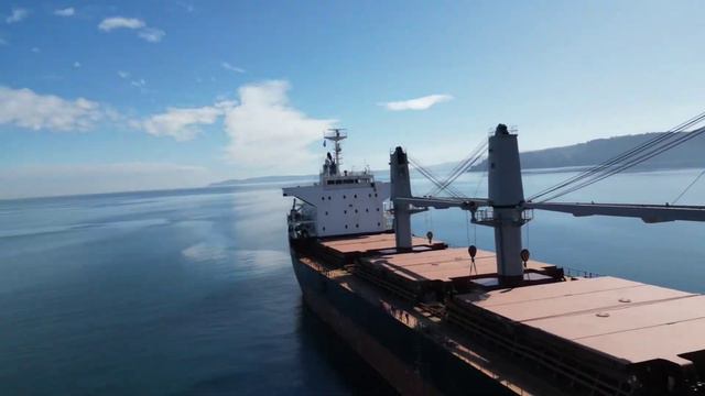 Морские котики в океане смотреть онлайн