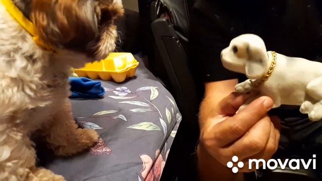 На Каталась?Теперь Задница Болит ?????