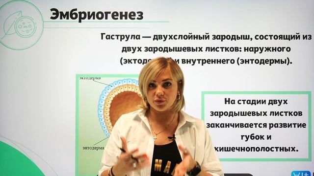 Что такое ОНТОГЕНЕЗ? | Подготовка к ЕГЭ 2023 по БИОЛОГИИ смотреть онлайн