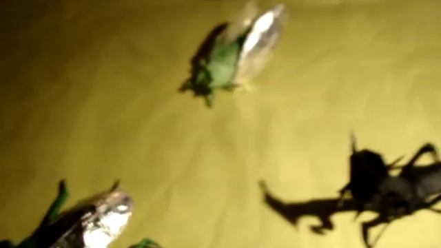 Origami Insects from Robert lang смотреть онлайн