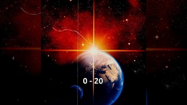 Из Тик-Тока