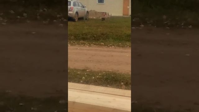 Кладка заборных столбов.