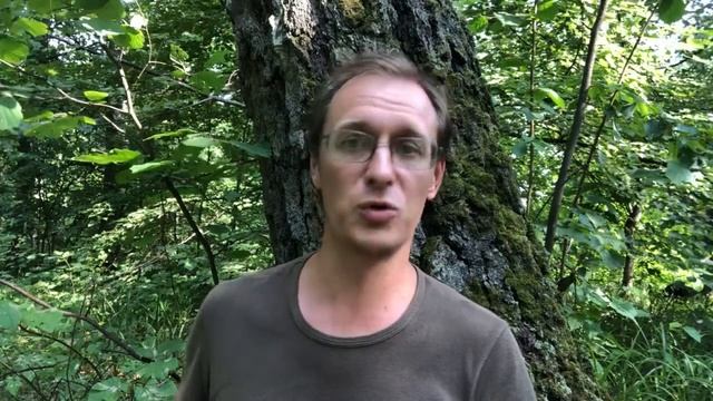 Говори то, что хотят услышать женщины! Как зарабатывают лекторы о семейном счастье смотреть онлайн