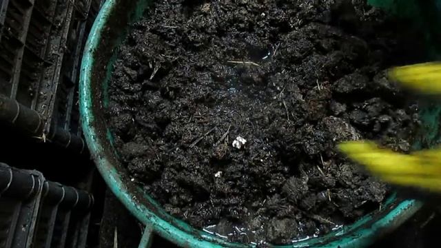 Червь "Старатель". 1000000 "Старателей" за зиму в подвале 8. смотреть онлайн