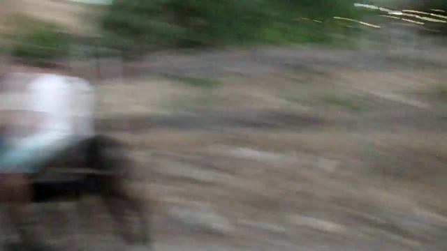 Прогулка на осликах (Riding on donkeys) смотреть онлайн