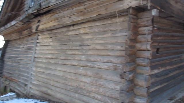 #СТАЛК Старинный дуб и дом Холуйских вышивальщиц на берегу реки Теза смотреть онлайн