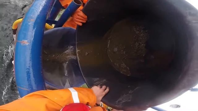 Центр морских исследований МГУ