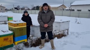 ? После зимовки пчел на улице осталась горсть пчелы. Что делать начинающему пчеловоду ?