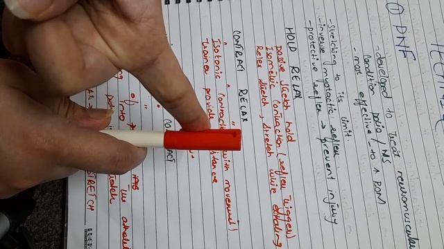 PNF techniques and billastic stretching смотреть онлайн