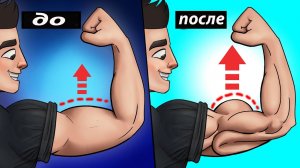 Как прокачать бицепс гантелями ?