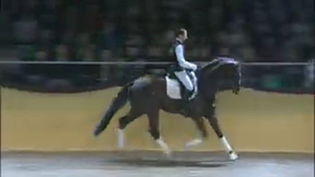 Don Diamond - Elite Stallions смотреть онлайн
