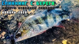СПИННИНГ С БЕРЕГА В НОЯБРЕ - ЛОВЛЯ ОКУНЯ НА ДЖИГ И ОТВОДНОЙ ПОВОДОК рыбалка в Тольятти Нижние Шлюза